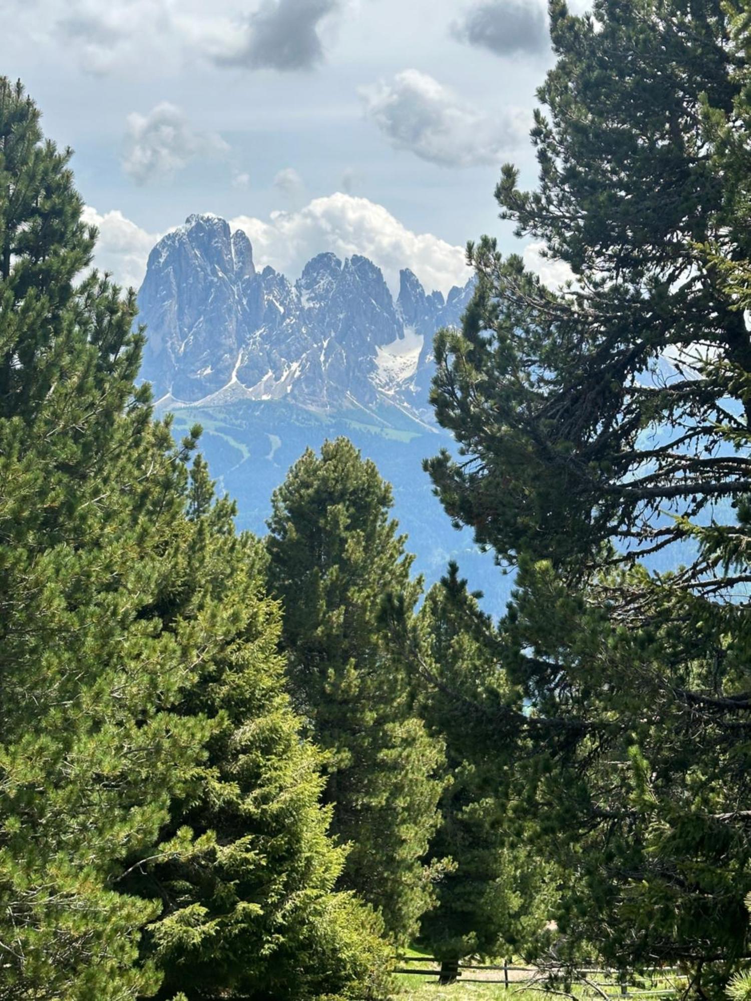 Chalet Da Mont Resciesa Ortisei Zewnętrze zdjęcie